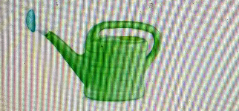 Locsolókanna 10l
