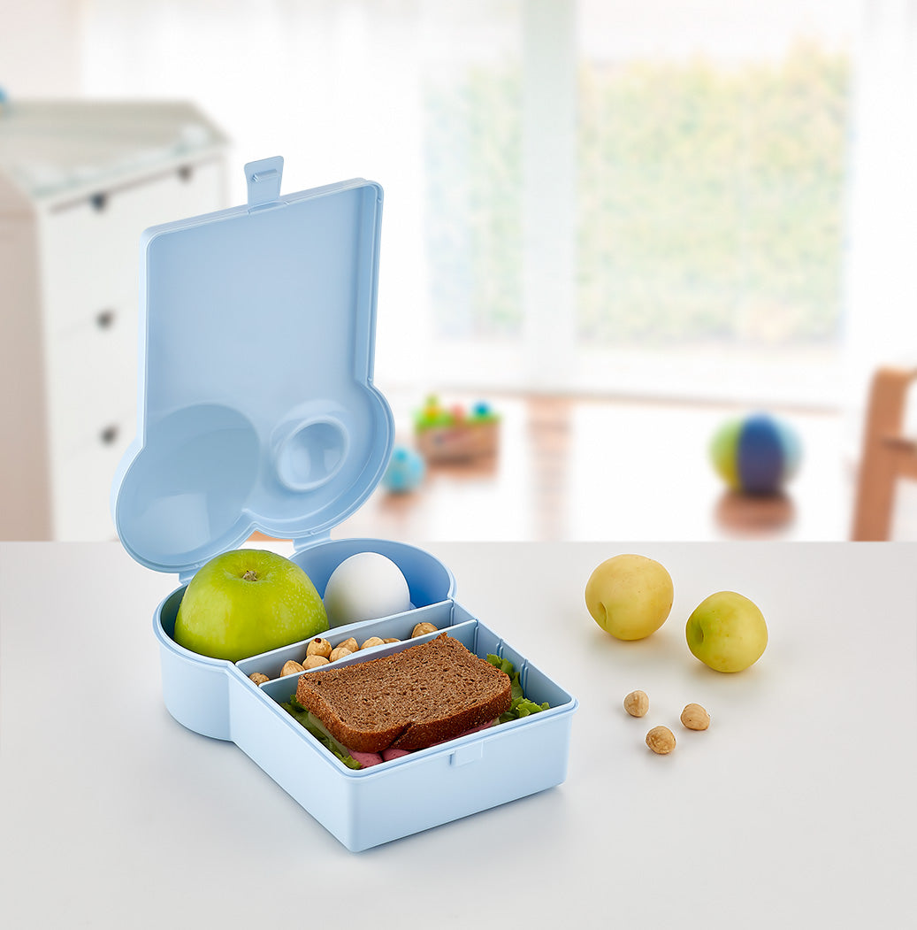 uszonnás doboz L00449